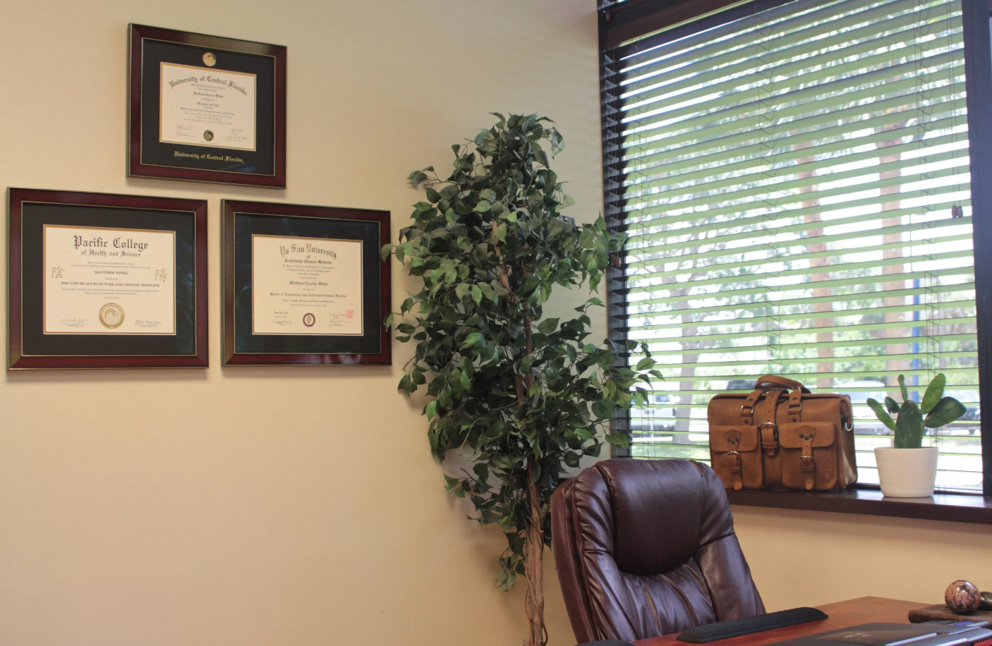 Acupuncture Xperts wellness space designed for whole-body healing in Boca Raton, Florida