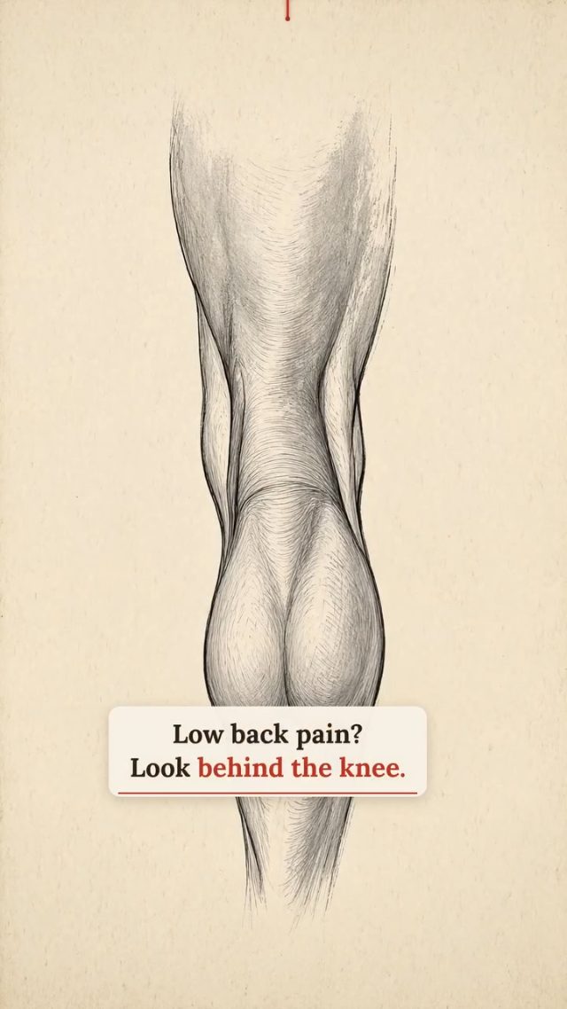 Acupressure point for low back pain: BL40, behind the knee.